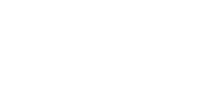 DreamTeam-white-logo-1